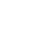City / Semiautomática