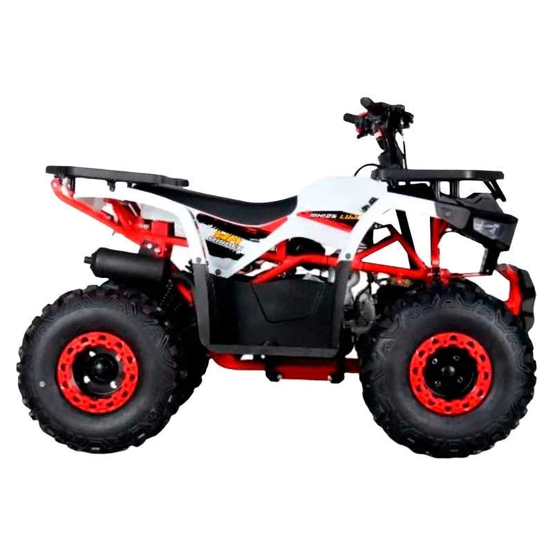 CUATRIMOTO MH 125 LUJO