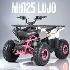 CUATRIMOTO MH 125 LUJO