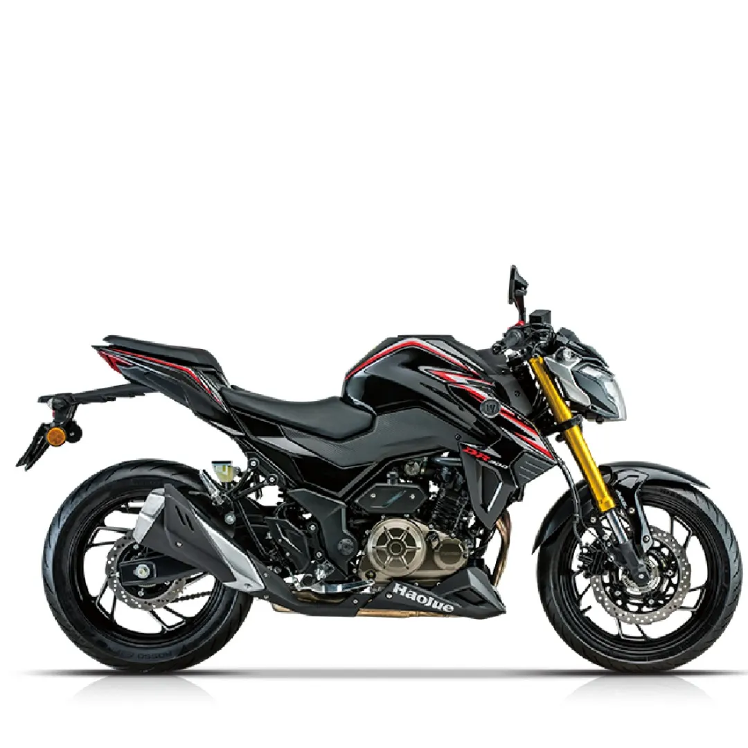 DR 300CC